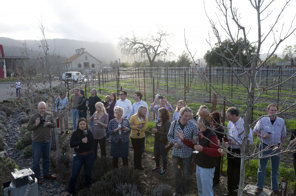 Guests at Wine and Art Exploration Tour at HALL Wines (Photo Courtesy of HALL Wines)