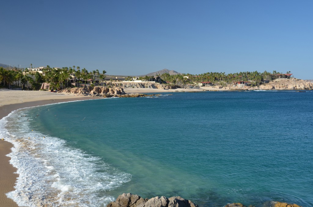 Beach in Los Cabos (Image from Visit Los Cabos)