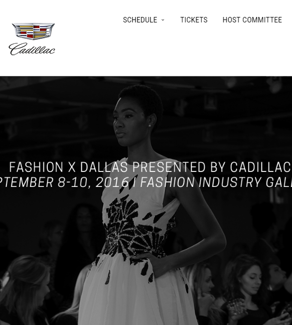 Fashion X Dallas (image from fashionxdallas.com)