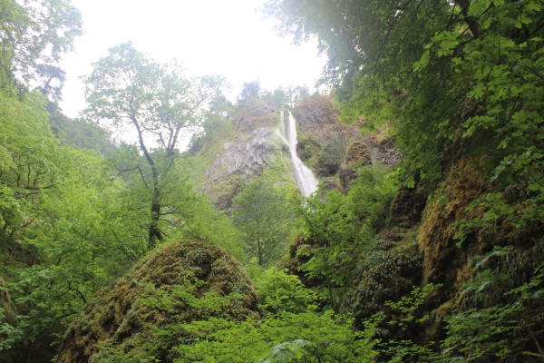 Waterfall in the Columbia Gorge (Image by LoudPen)